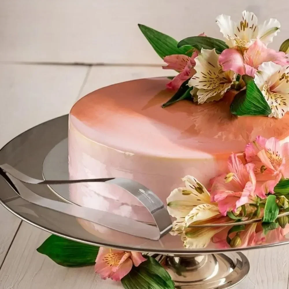 Orblue Professional Cake and Pie Stainless Steel Server!